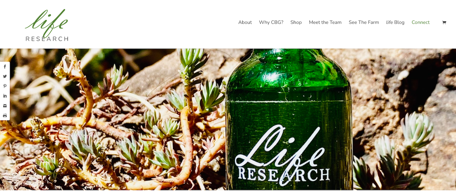 Connect Life Research