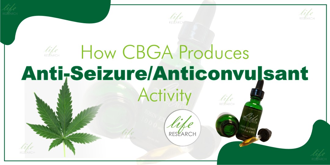 How CBGa Produces Anti-seizure/Anticonvulsant Activity