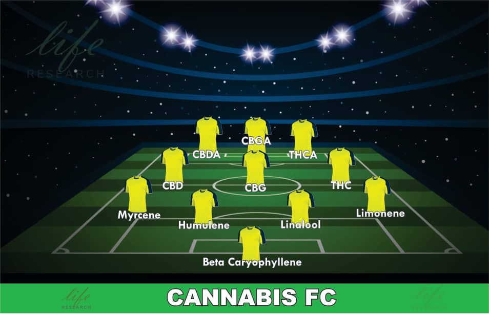 What if Cannabis was a Football or Soccer Team?