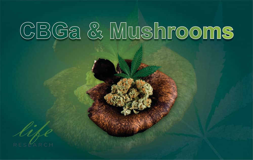 CBGa & Mushrooms