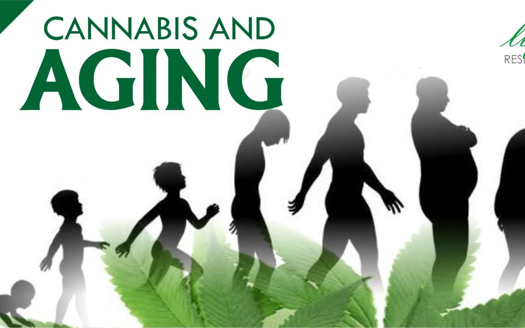 Cannabis and Aging