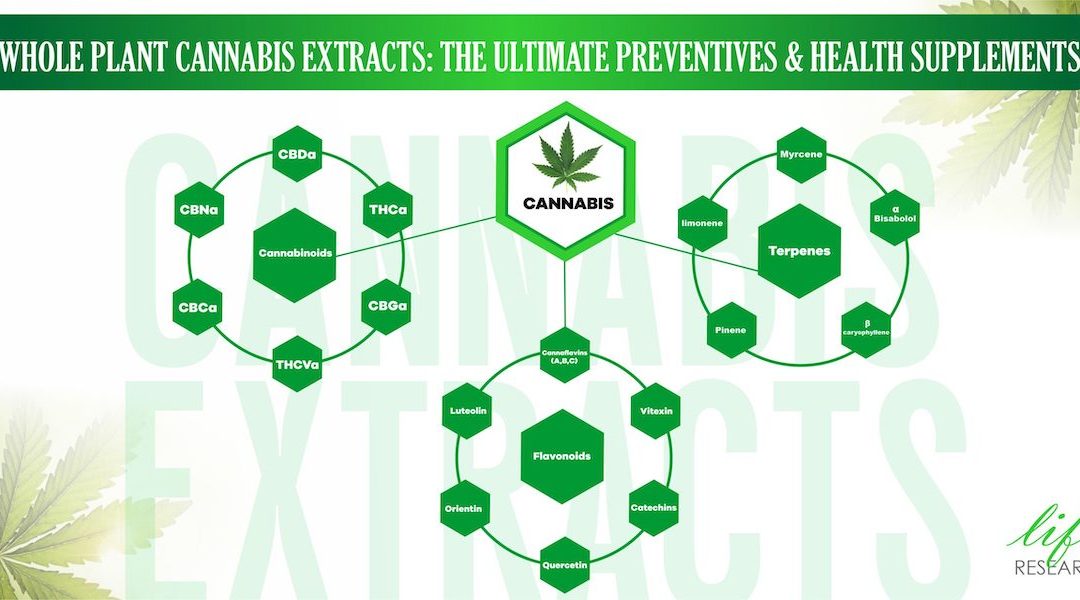 Whole Plant Cannabis Extracts: The Ultimate Preventives & Health Supplements