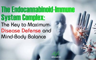 The Endocannabinoid-Immune System Complex: The Key to Maximum Disease Defense and Mind-Body Balance